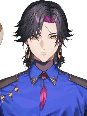 ヴェザリウス バンデージのサムネイル画像